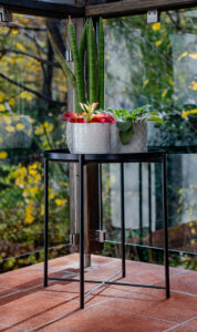 Foxfilm - Referenciák